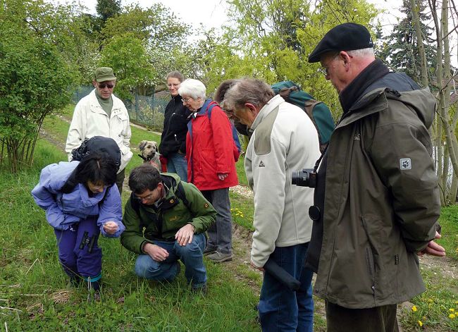 Botanische Exkursion mit Ehrhardt Neudörfl